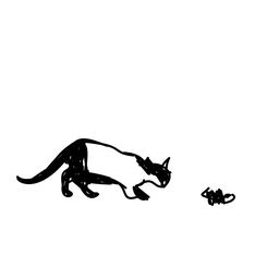 cat1