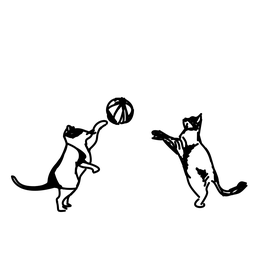 cat11