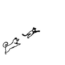 dog11