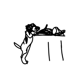 dog9