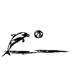 dolphin6