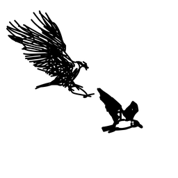 eagle4