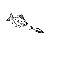 fish1
