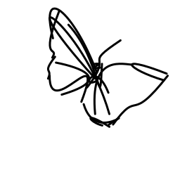 butterfly