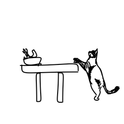 cat