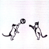 cat11