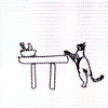 cat12