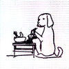 dog8