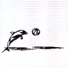 dolphin6