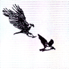 eagle4