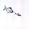 fish1