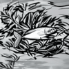fish1