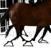 horsecar5