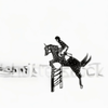 horsejump2