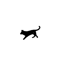 dog11
