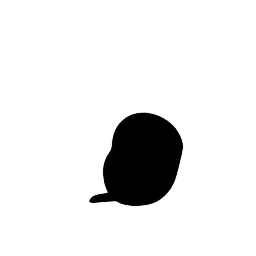 dolphin1