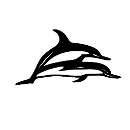 dolphin13