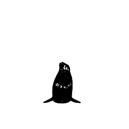 dolphin2
