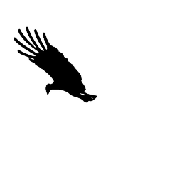 eagle4