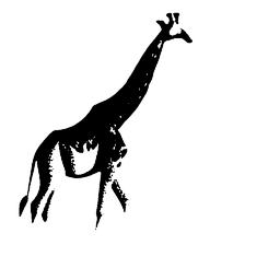 giraffe2