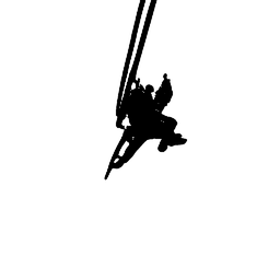 helicopter1
