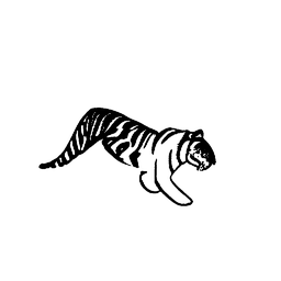 tiger1
