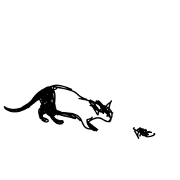 cat1