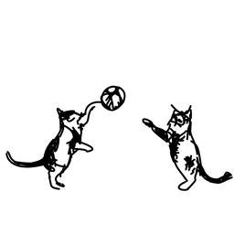 cat11