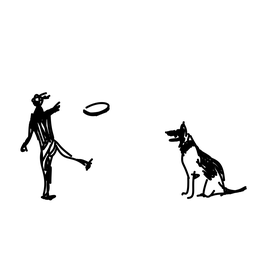 dog3
