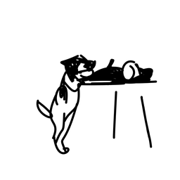 dog9