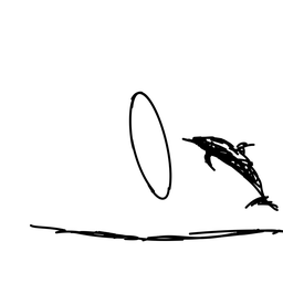 dolphin13