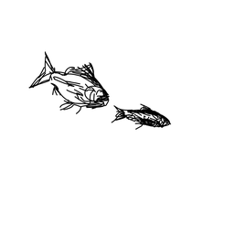 fish1