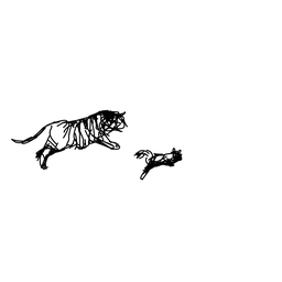 tiger1