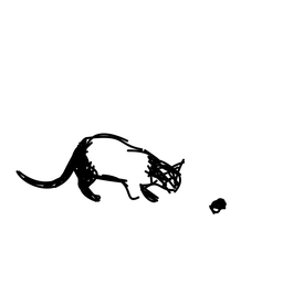 cat1