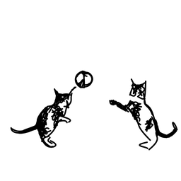cat11
