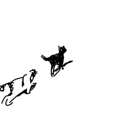 dog11