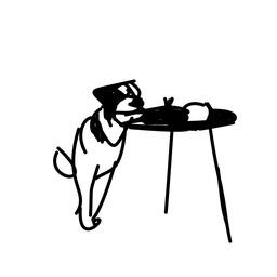 dog9
