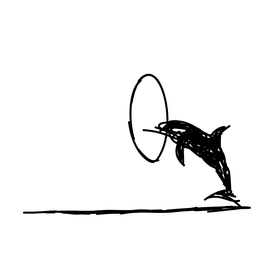 dolphin13