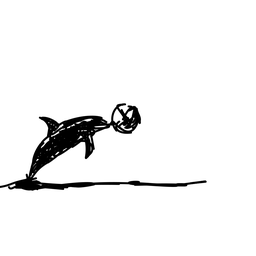 dolphin6