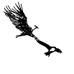 eagle4