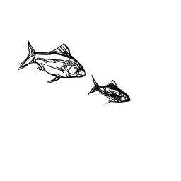 fish1