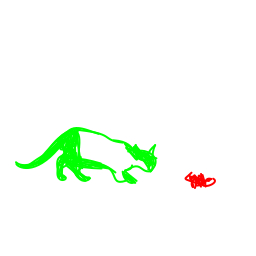 cat1