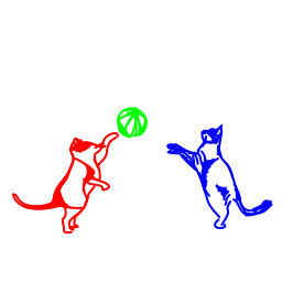 cat11