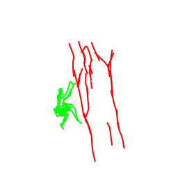climbmountain1