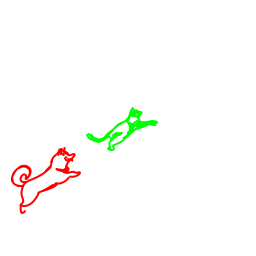 dog11