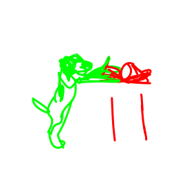 dog9