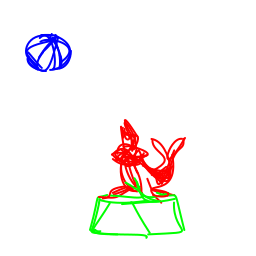 dolphin1