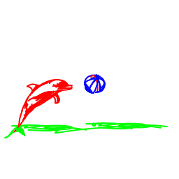 dolphin6