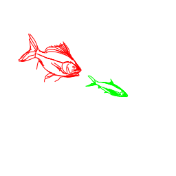 fish1