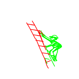 ladder2